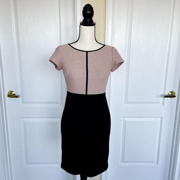 Ann Taylor Size 0P Petite Caramel Tan Beige Contrast Knee Length Pencil Sheath D - Picture 1 of 9